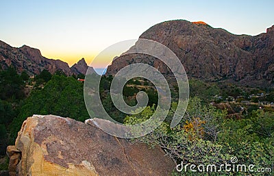 Trees and other desert plants growing on stone rocks in the mountains in Big Bend National Park in Texas. Stock Photo