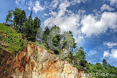 Trees over marble cliff Stock Photo