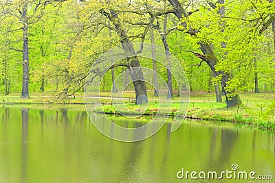 Trees in park Bad Muskau Stock Photo