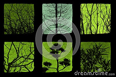 Trees and plants Cartoon Illustration