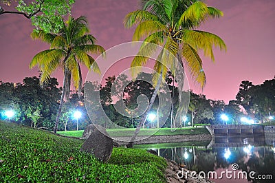 Trees by the pond at Woodlands Town Garden Stock Photo