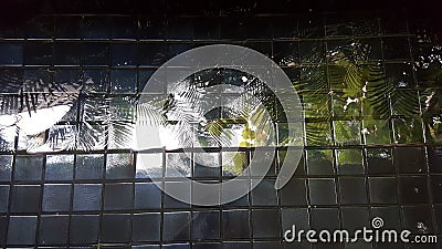 trees reflected image on tile finished pool bottom Stock Photo