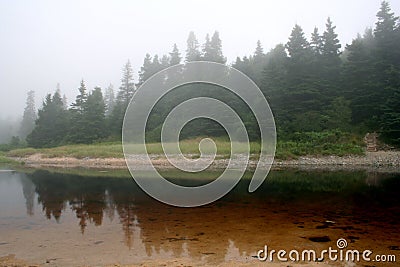 Trees reflected in lake Stock Photo