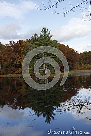 Reflected Beauty on the Lake Stock Photo
