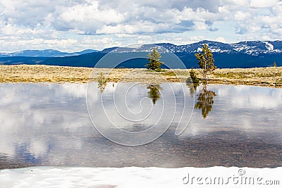 Trees are reflected in the melt water, against the snow-capped tops of the high mountains of British Columbia Stock Photo