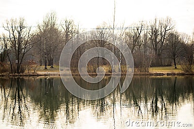 Trees reflected on the surface of a lake Stock Photo