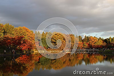 Trees are reflected in the water of a Japanese lake Editorial Stock Photo
