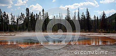 Trees reflecting in the Emerald Pool hot spring in the Black Sand Geyser Basin in Yellowstone National Park USA Stock Photo