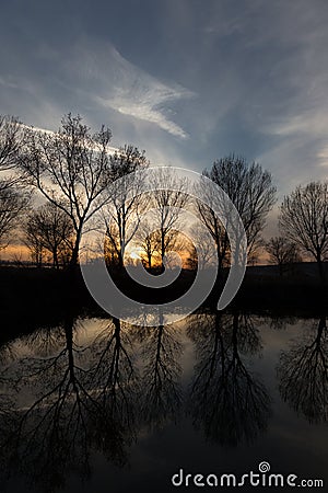 Trees reflections and sunset Stock Photo