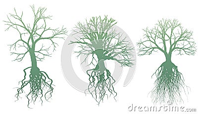 Trees with roots Vector Illustration