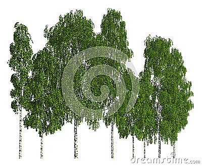 Trees in a row isolated on white 3d illustration Cartoon Illustration