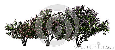 Trees in a row isolated on white 3d illustration Cartoon Illustration