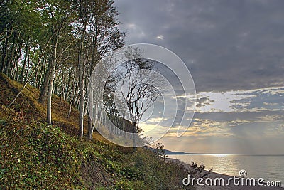 Trees at the sea, sunset. Stock Photo