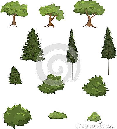 Trees and Shrubs Vector Illustration