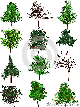 Trees silhouettes. Vector Illustration