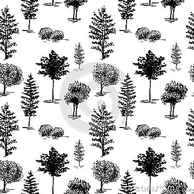 Trees, sketch pattern. Hand painted black trees on white background. Seamless wallpaper Vector Illustration