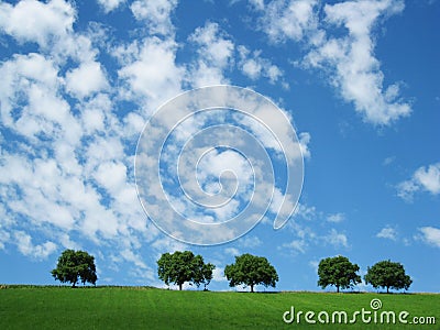 Trees with sky and clouds (6) Stock Photo