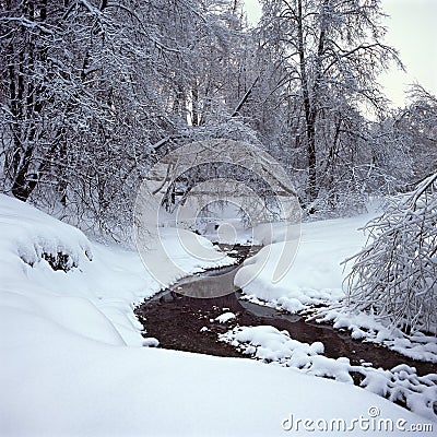 Trees in snow, Kolomenskoe, Moscow, Russia Stock Photo