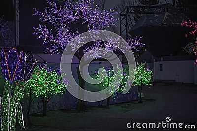 A Well Lighted Pathway At The Festival Stock Photo