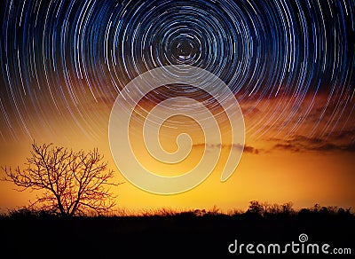 Trees on starry background with bright stars trails. Time lapse, long exposure. Elements of this image furnished by NASA. Stock Photo