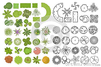 Trees top view. Different trees, plants vector set for architectural or landscape design. Set of linear and color flat illustrati Vector Illustration