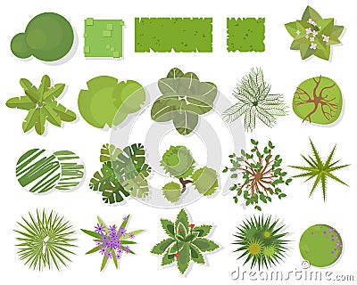 Trees top view.Different trees, plants vector set for architectural or landscape design.Landscaping symbols set isolated on white Vector Illustration