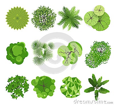 Trees - top view Vector Illustration