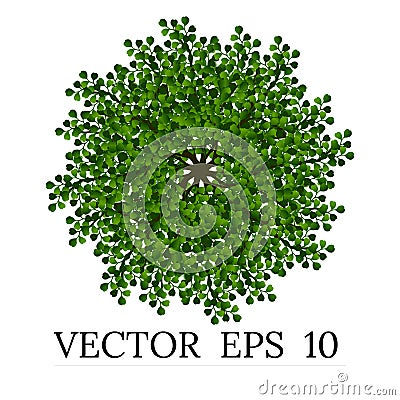 Trees top view for landscape vector illustration. Vector Illustration