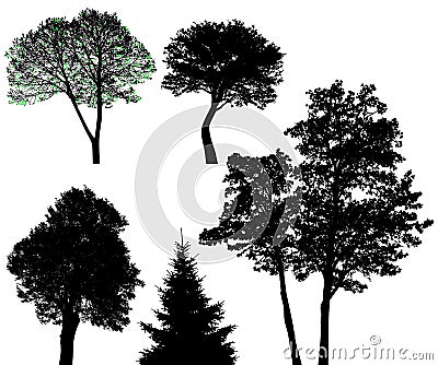 Trees - vector set Vector Illustration
