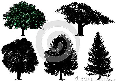 Trees - vector set Vector Illustration