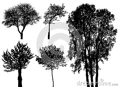 Trees - vector set Vector Illustration