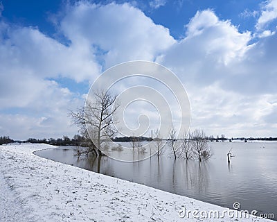 trees in water of floodplanes during flood of river rhine near culemborg in holland under blue sky Stock Photo