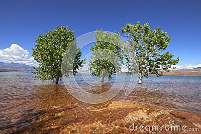 Sand Hollow State Park Stock Photo