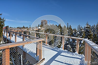 The treetop walk Bachledka in Bachledova valley Stock Photo