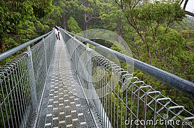 A treetop walk path Stock Photo