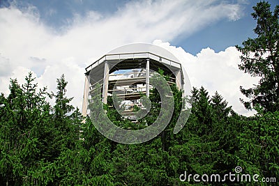 Treetop walkway, Czech Republic Stock Photo