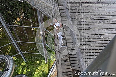 Treetop Walkway lignting, Sightseeing trail in tree crowns Stock Photo