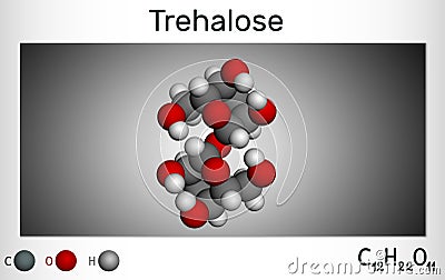 Trehalose, tremalose carbohydrate molecule. Also known as mycose. Is a disaccharide consisting of two molecules of glucose. Stock Photo