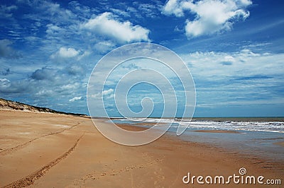 Treking in a wild beach Stock Photo