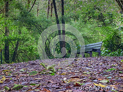 Trekkin tour in Monteverde Stock Photo