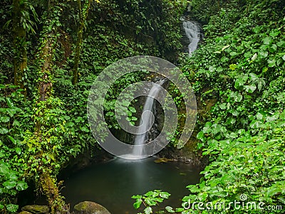 Trekkin tour in Monteverde Stock Photo