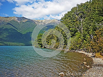 Trekking along lake in Nelson lakes national park, New Zealand Stock Photo