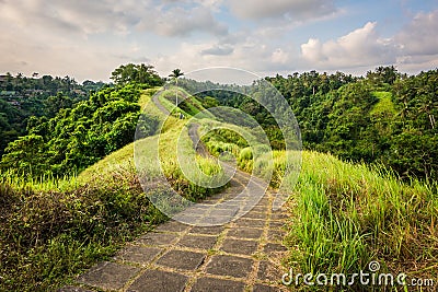 Trekking at Campuhan Ridge Stock Photo