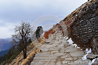 Trekking path to tungnath temple chopta Uttarakhand Stock Photo