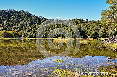 Trekking in Reserva El Cani, near Pucon, Chile Stock Photo