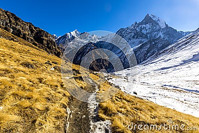 Trekking on the way at Annapurna Base Camp Stock Photo