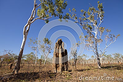 Tremite mound in Kakadu National Park, Australia Stock Photo