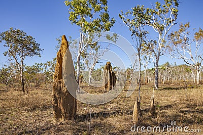 Tremite mound in Kakadu National Park, Australia Stock Photo