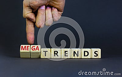 Trends or megatrends symbol. Businessman turns cubes and changes words trends to megatrends. Beautiful grey table, grey background Stock Photo