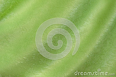 Bright green colored Background of soft draped fabric Stock Photo